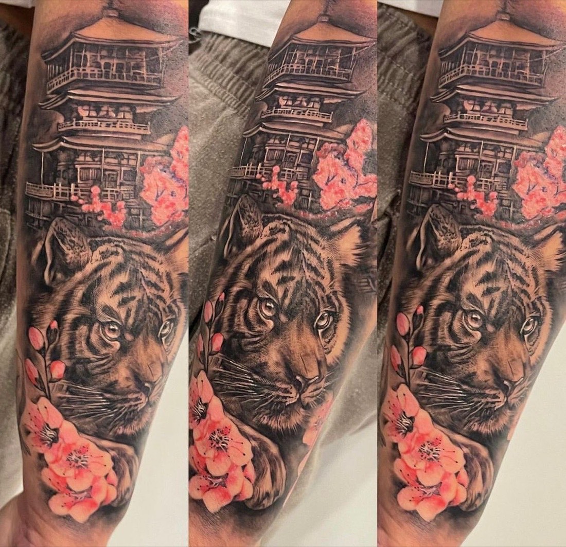 Japanese tiger tattoo with pagoda and pink cherry blossom on a forearm, by Scorpion Ink